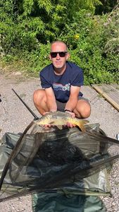 Mirror Carp