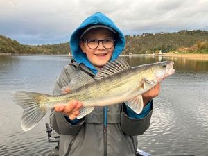 Zander