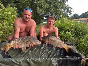 Common Carp