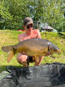 Mirror Carp