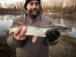 Northern Pike