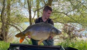 Mirror Carp