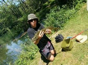 Northern Pike