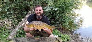 Mirror Carp