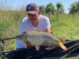 Common Carp