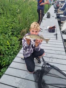 Zander
