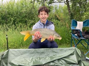 Common Carp