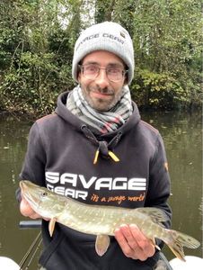 Northern Pike