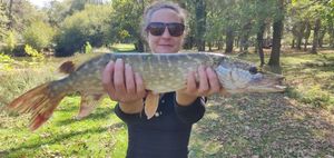 Northern Pike