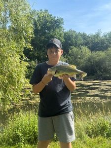 Largemouth Bass