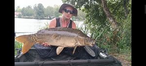 Mirror Carp