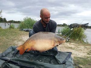 Mirror Carp