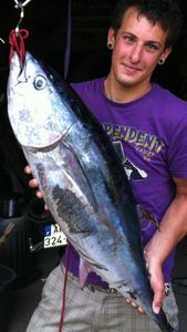 Southern Bluefin Tuna
