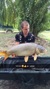 Common Carp