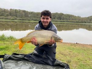 Common Carp