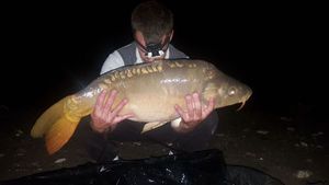 Leather Carp