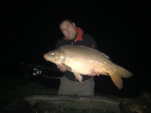 Mirror Carp