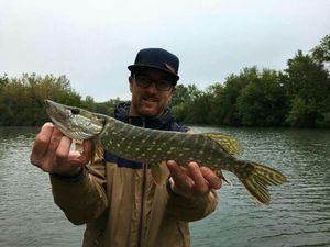 Northern Pike