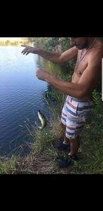 Largemouth Bass