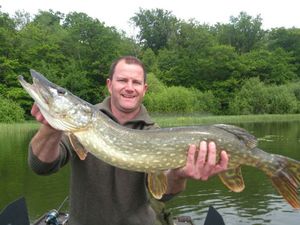 Northern Pike