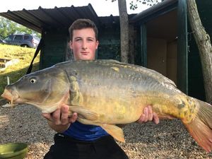 Mirror Carp