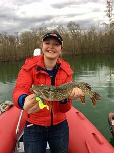 Northern Pike