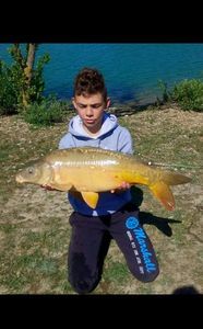 Mirror Carp