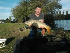 Common Carp