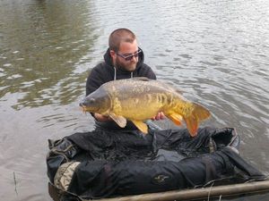 Mirror Carp