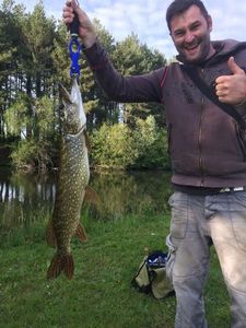 Northern Pike