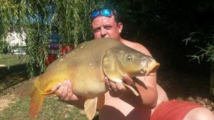 Mirror Carp