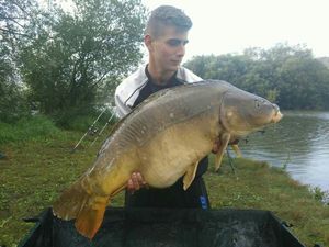 Mirror Carp