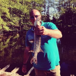 Northern Pike