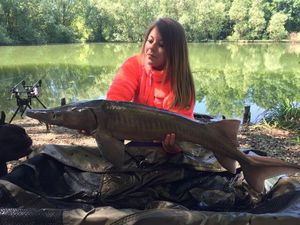 Sturgeon