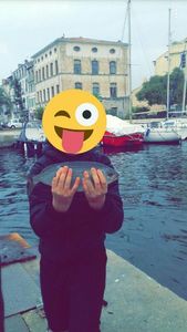 Salema