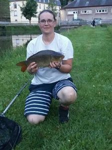 Common Carp