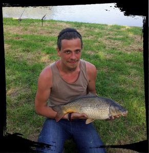 Common Carp