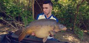 Mirror Carp