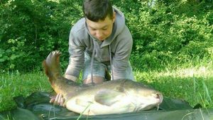 Mirror Carp