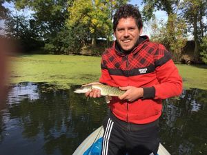 Northern Pike