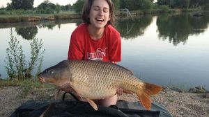 Common Carp