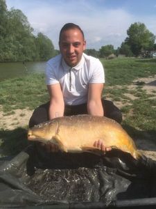 Mirror Carp