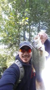 Largemouth Bass