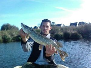 Northern Pike
