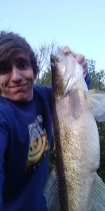 Zander