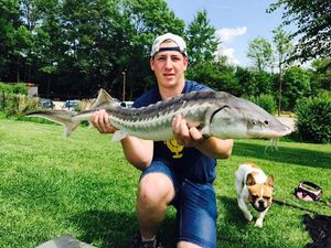 Sturgeon