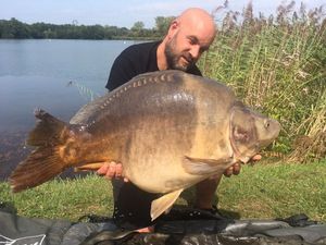 Mirror Carp
