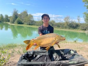 Mirror Carp