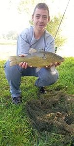 Tench