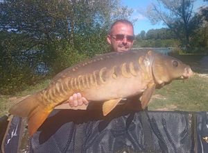 Mirror Carp